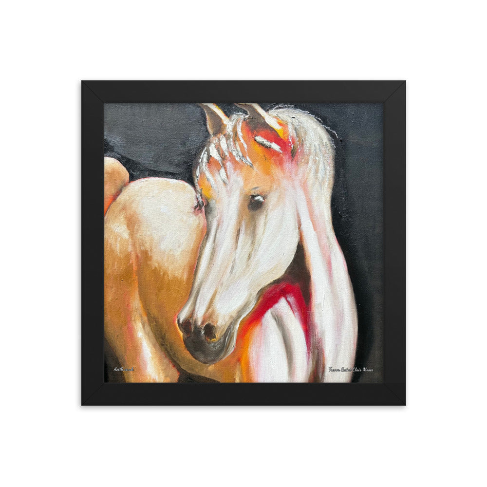 Horse Framed Print