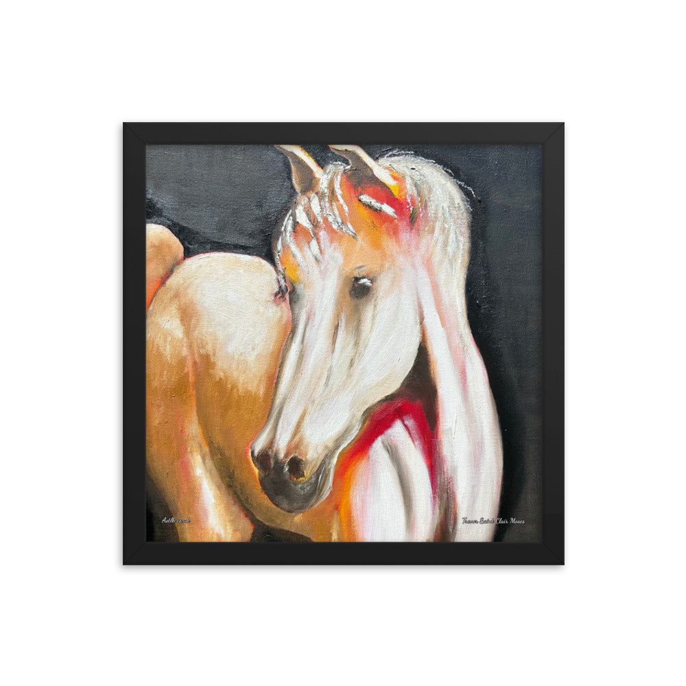 Horse Framed Print