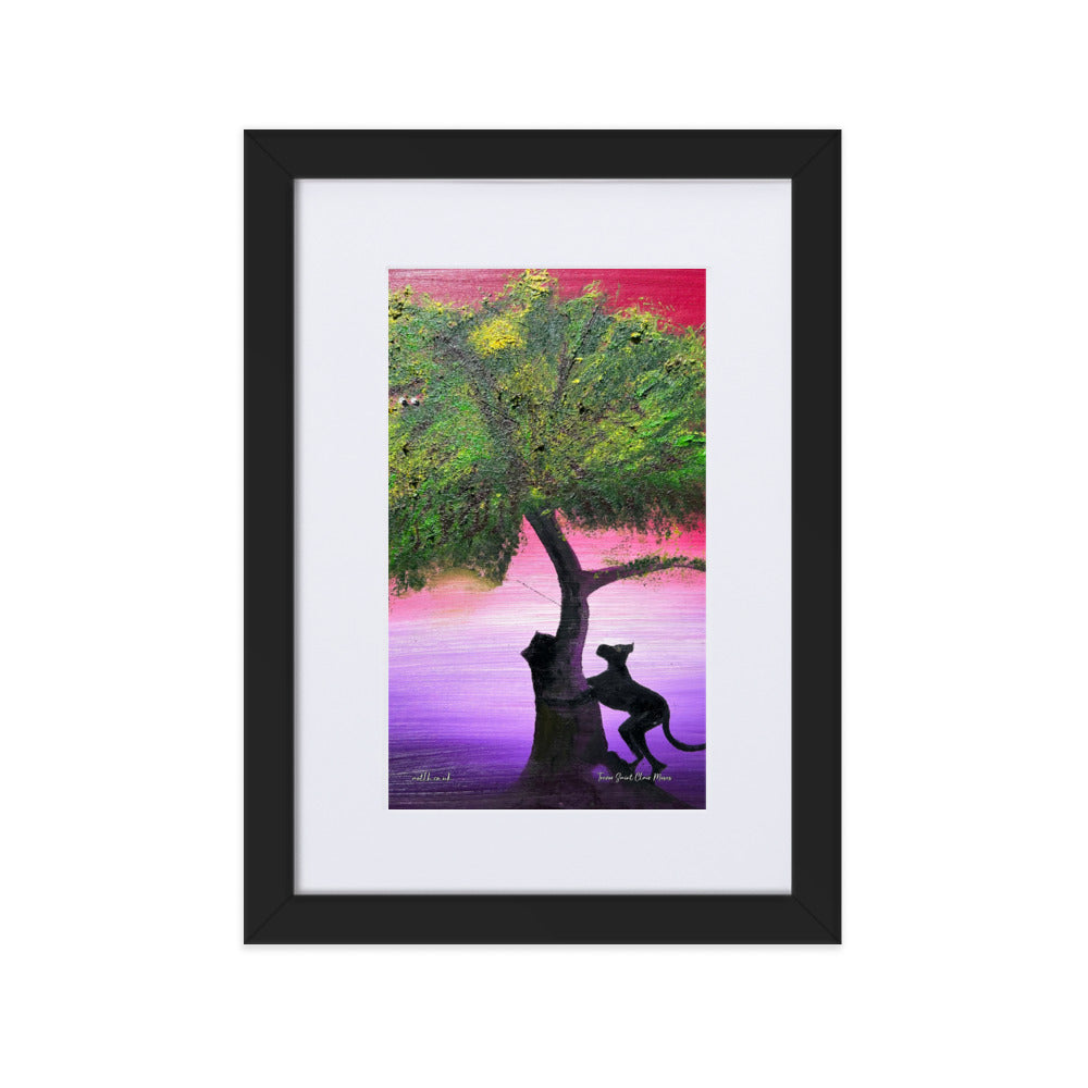 Curious Cat Matte Paper Framed Print With Mat